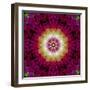 Symmetrical Ornament of Flower Photos-Alaya Gadeh-Framed Photographic Print