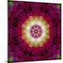 Symmetrical Ornament of Flower Photos-Alaya Gadeh-Mounted Photographic Print