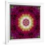 Symmetrical Ornament of Flower Photos-Alaya Gadeh-Framed Photographic Print