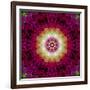 Symmetrical Ornament of Flower Photos-Alaya Gadeh-Framed Photographic Print