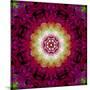 Symmetrical Ornament of Flower Photos-Alaya Gadeh-Mounted Photographic Print
