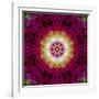 Symmetrical Ornament of Flower Photos-Alaya Gadeh-Framed Photographic Print