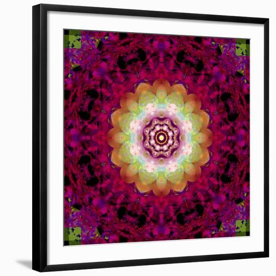 Symmetrical Ornament of Flower Photos-Alaya Gadeh-Framed Photographic Print