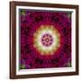 Symmetrical Ornament of Flower Photos-Alaya Gadeh-Framed Photographic Print