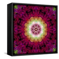 Symmetrical Ornament of Flower Photos-Alaya Gadeh-Framed Stretched Canvas