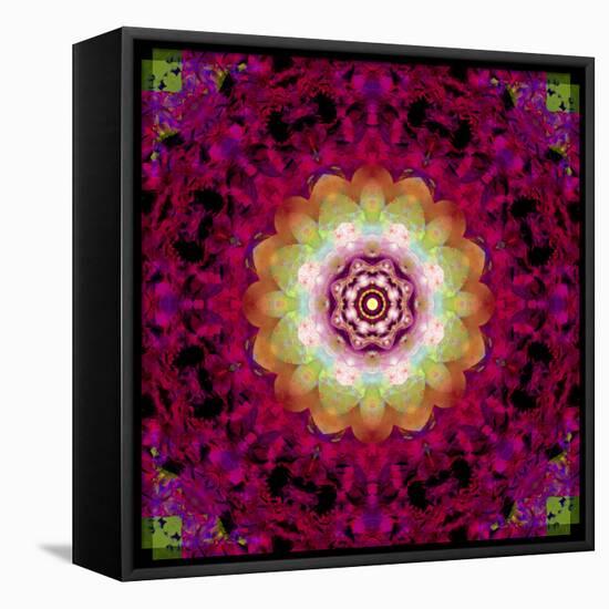 Symmetrical Ornament of Flower Photos-Alaya Gadeh-Framed Stretched Canvas