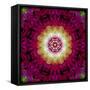 Symmetrical Ornament of Flower Photos-Alaya Gadeh-Framed Stretched Canvas