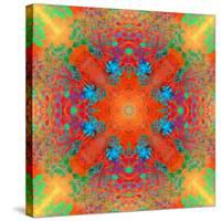 Symmetrical Ornament of Flower Photos-Alaya Gadeh-Stretched Canvas