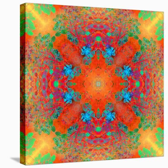 Symmetrical Ornament of Flower Photos-Alaya Gadeh-Stretched Canvas