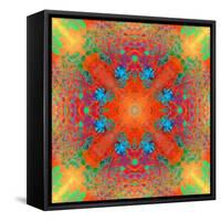 Symmetrical Ornament of Flower Photos-Alaya Gadeh-Framed Stretched Canvas