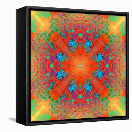 Symmetrical Ornament of Flower Photos-Alaya Gadeh-Framed Stretched Canvas