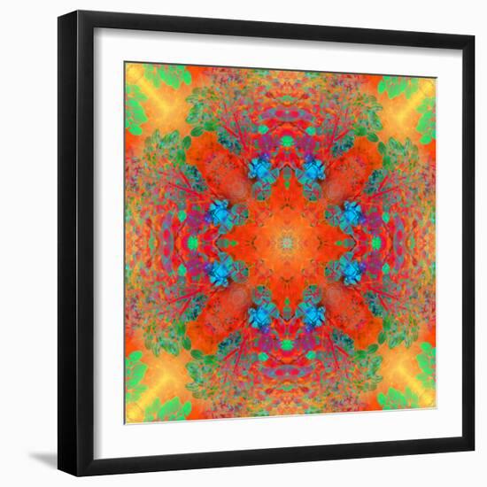 Symmetrical Ornament of Flower Photos-Alaya Gadeh-Framed Photographic Print