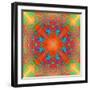 Symmetrical Ornament of Flower Photos-Alaya Gadeh-Framed Photographic Print