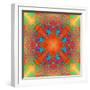 Symmetrical Ornament of Flower Photos-Alaya Gadeh-Framed Photographic Print