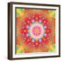 Symmetrical Ornament of Flower Photos-Alaya Gadeh-Framed Photographic Print