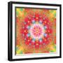 Symmetrical Ornament of Flower Photos-Alaya Gadeh-Framed Photographic Print