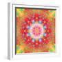 Symmetrical Ornament of Flower Photos-Alaya Gadeh-Framed Photographic Print