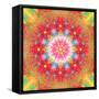 Symmetrical Ornament of Flower Photos-Alaya Gadeh-Framed Stretched Canvas