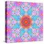 Symmetrical Ornament of Flower Photos-Alaya Gadeh-Stretched Canvas