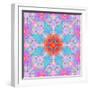 Symmetrical Ornament of Flower Photos-Alaya Gadeh-Framed Photographic Print