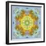 Symmetrical Ornaments, Mandala, Colourful-Alaya Gadeh-Framed Photographic Print