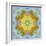 Symmetrical Ornaments, Mandala, Colourful-Alaya Gadeh-Framed Photographic Print