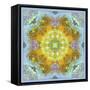 Symmetrical Ornaments, Mandala, Colourful-Alaya Gadeh-Framed Stretched Canvas