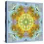 Symmetrical Ornaments, Mandala, Colourful-Alaya Gadeh-Stretched Canvas