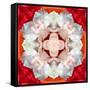 Symmetrical Photomontage of a White Orchid on Red Floral Ornament with Circle-Alaya Gadeh-Framed Stretched Canvas