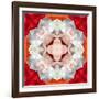 Symmetrical Photomontage of a White Orchid on Red Floral Ornament with Circle-Alaya Gadeh-Framed Photographic Print