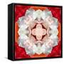 Symmetrical Photomontage of a White Orchid on Red Floral Ornament with Circle-Alaya Gadeh-Framed Stretched Canvas