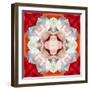 Symmetrical Photomontage of a White Orchid on Red Floral Ornament with Circle-Alaya Gadeh-Framed Photographic Print