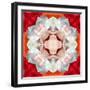 Symmetrical Photomontage of a White Orchid on Red Floral Ornament with Circle-Alaya Gadeh-Framed Photographic Print