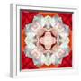 Symmetrical Photomontage of a White Orchid on Red Floral Ornament with Circle-Alaya Gadeh-Framed Photographic Print