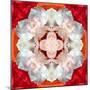 Symmetrical Photomontage of a White Orchid on Red Floral Ornament with Circle-Alaya Gadeh-Mounted Photographic Print