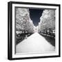 Symmetry Winter II - In the Style of Oil Painting-Philippe Hugonnard-Framed Giclee Print