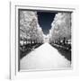 Symmetry Winter II - In the Style of Oil Painting-Philippe Hugonnard-Framed Giclee Print