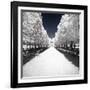 Symmetry Winter II - In the Style of Oil Painting-Philippe Hugonnard-Framed Giclee Print