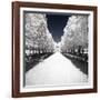 Symmetry Winter II - In the Style of Oil Painting-Philippe Hugonnard-Framed Giclee Print