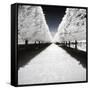 Symmetry Winter - In the Style of Oil Painting-Philippe Hugonnard-Framed Stretched Canvas