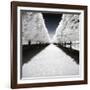 Symmetry Winter - In the Style of Oil Painting-Philippe Hugonnard-Framed Giclee Print