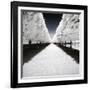 Symmetry Winter - In the Style of Oil Painting-Philippe Hugonnard-Framed Giclee Print