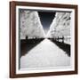 Symmetry Winter - In the Style of Oil Painting-Philippe Hugonnard-Framed Giclee Print
