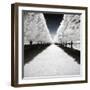 Symmetry Winter - In the Style of Oil Painting-Philippe Hugonnard-Framed Giclee Print