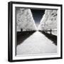 Symmetry Winter - In the Style of Oil Painting-Philippe Hugonnard-Framed Giclee Print