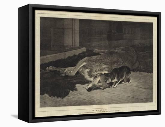 Sympathy-John Charlton-Framed Stretched Canvas