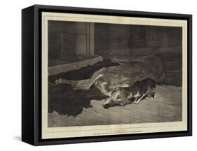 Sympathy-John Charlton-Framed Stretched Canvas