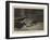 Sympathy-John Charlton-Framed Giclee Print