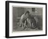 Sympathy-null-Framed Giclee Print