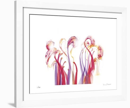 Symphonic Morphons-Shams Rasheed-Framed Giclee Print